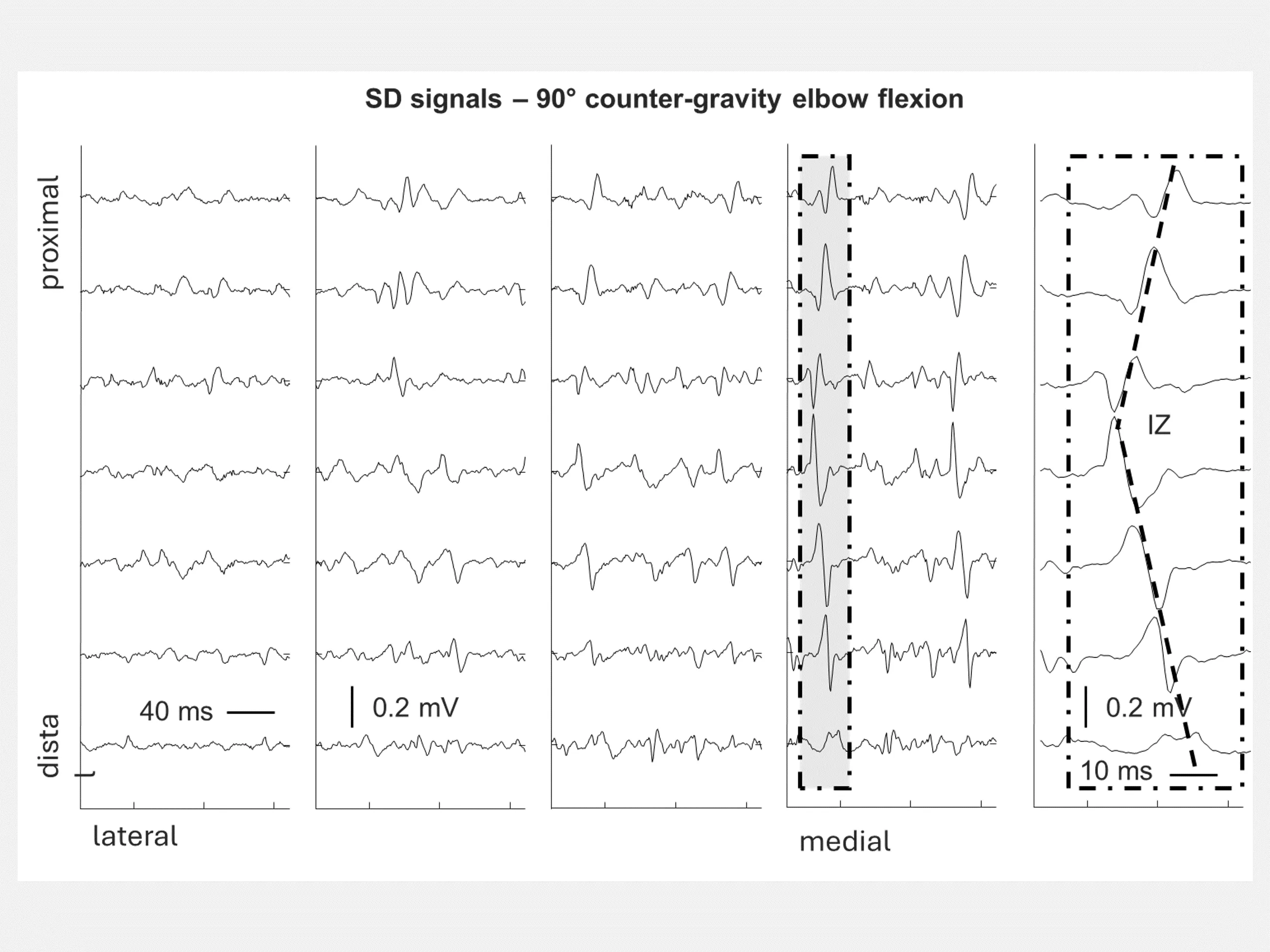 A screenshot of posts/physiology/